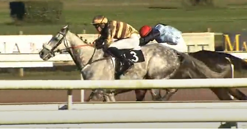 FRANCIA. Uno due Guillaume Macaire nel Grand Steeple Chase de Bordeaux. Il trainer di Royan ha piazzato sui primi due gradini del podio il grigio Rootster interpretato da James Reveley e il campione di Francia So French, terzo l’atteso Happy Monarch