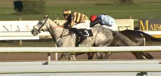 FRANCIA. Uno due Guillaume Macaire nel Grand Steeple Chase de Bordeaux. Il trainer di Royan ha piazzato sui primi due gradini del podio il grigio Rootster interpretato da James Reveley e il campione di Francia So French, terzo l’atteso Happy Monarch