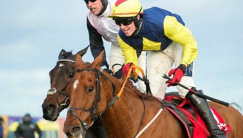 REGNO UNITO. The Storyteller e Keith Donoghue fulminano l’atteso Chris’s Dream nel Gr 1 del Ladbrokes Champion Chase a Down Royal. Cyrname devastante nel Charlie Hall Chase a Wetherby