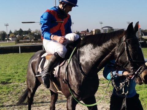 ITALIA. Treviso open, Zubiena e Luigi Pietro Stefani ok nel cross country, Ole Caballero e Jo Bartos netto sullo steeple, Desperados e Pavel Slodzil in splendido coast to coast sulle siepi