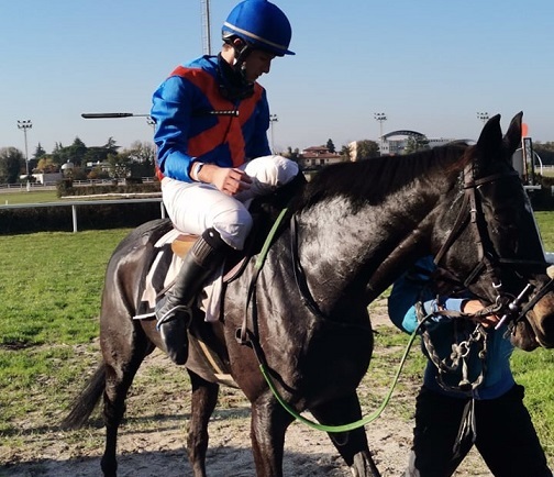 ITALIA. Molti partenti e corse divertenti nella domenica di Merano. Spicca il Premio Rigoreaux, maiden novices per anziani che si presenta quanto mai incerta, dove Urban Hero sfida Sea Sculpture, Azonto e Giausar, ma molte sono le incognite