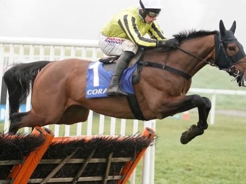 INGHILTERRA. Oltre alla Tingle Creek, sabato a Sandown anche il Gr 1 della Henry VII Novices Chase, atteso Allmankind per i fratelli Skelton, vs Hitman per Paul Nicholls, in lista d’attesa anche Ga Law ed Eldorado Allen