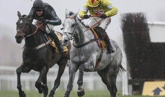 INGHILTERRA. Altior torna sabato nella Tingle Creek. La star di Nicky Henderson contro il grigio di Paul Nicholls Politologue, entrambi sono al rientro stagionale