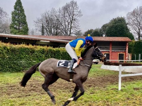 ITALIA. Sant’Artemio, la femmina Cheminee batte No Pasaran nella XVII Corsa Siepi di Treviso al termine di un emozionante finale. Lady Minx ok fra i tre anni, Aventus torna al successo sullo steeple, Prouchki senza avversari nella periziata