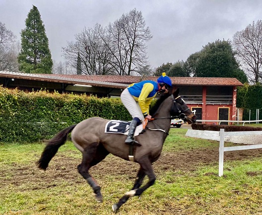 REPUBBLICA CECA. Night Moon e Cheminée, primi squilli a Pardubice. Per la coppia allenata da Pavel Tuma, rientro vincente nelle loro rispettive prove con uno sguardo su Merano. No Time To Lose e Ondrej Velek vincono il primo round al Velka Pardubice