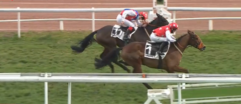 FRANCIA. En plein, Troger – Satalia a Cagnes Sur Mer nel canonico appuntamento di Natale, nella reclamare per i tre anni vittoria per Morgenstern avanti al compagno Monfalcon. Piton Des Neiges secondo nel Prix du Comté de Nice! Lord Dragon buon terzo nella condizionata per i 4 anni sullo steeple