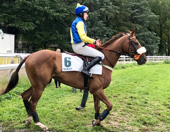 REPUBBLICA CECA. Domenica tornano le corse a Pardubice per il primo atto della stagione 2022. Otto le corse in programma, clou lo steeple cross del Città di Pardubice con la presenza del potente Night Moon appartenente al team Charvat, contro le due temibili pedine di Josef Vana Sr, Aeneas e Chelmsford