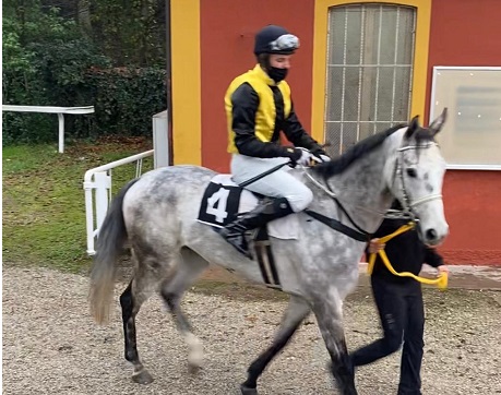 FRANCIA. Josef Aichner a due punte nel mercoledì francese. A Dieppe il proprietario di Sarentino in pista con con Volunteers e Prouchki per la formazione di Josef Vana Jr, non partente Pourquoispas Robert nel pomeriggio di Aix le Bains