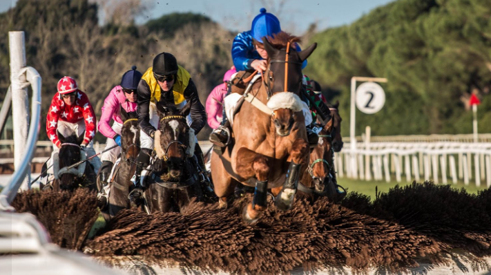 ITALIA. Pisa, Peace Garden top nella Prova D’Assaggio, l’allievo di Pepi Vana batte la femmina Honey Sexy e un generoso Salcret. First Daum show nella condizionata sulle siepi riservata agli anziani, Baltic Wolve vince l’handicap per i tre anni