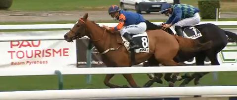 FRANCIA. Spanish One a sorpresa nel Prix Château de Pau, test che guarda al Grand Prix. Ottima la performance dell’allievo di Philippe e Camille Peltier, battuta la femmina Darling des Bordes, Laskalin e Doctor Kaléo