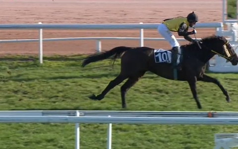 FRANCIA. Sternkranz strepitoso a Cagnes Sur Mer, l’allievo di Pepi Vana conquista il Quinté Plus. Il portacolori di Josef Aichner batte l’atteso Bric e si candida alla Grand Journee de l’Obstacle del 10 Gennaio. Nurmi e Davide Satalia ottima piazza nella seconda divisione sulle siepi