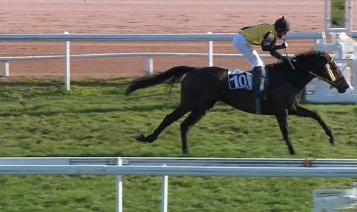 FRANCIA. Sternkranz strepitoso a Cagnes Sur Mer, l’allievo di Pepi Vana conquista il Quinté Plus. Il portacolori di Josef Aichner batte l’atteso Bric e si candida alla Grand Journee de l’Obstacle del 10 Gennaio. Nurmi e Davide Satalia ottima piazza nella seconda divisione sulle siepi