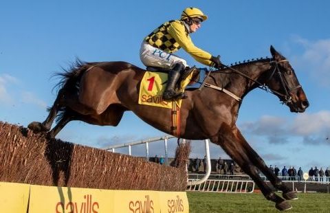 IRLANDA. Warm up ok per Al Boum Photo. Assente dallo scorso Marzo, l’eroe delle ultime due Gold Cup passeggia nel terzo grado della Savills New Years’ Day Chase a Tramore; per Willie Mullins si tratta della ventesima vittoria dal giorno di Santo Stefano