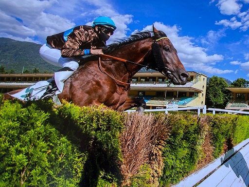 ITALIA. Super domenica a San Rossore con la Gran Siepi di Pisa e l’omonima prova per i 4 anni. Alex Pollioni torna in sella dopo un lungo stop, il jockey laziale impegnato nelle due prove clou del pomeriggio, ci guida all’interno della domenica toscana