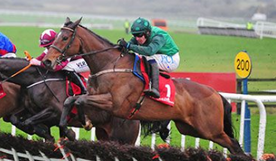 IRLANDA. Domenica una bella edizione della Lawlor’s Of Naas Novice Hurdle di Gr1, Bob Olinger il favorito, Blue Lord per Willie Mullins e Ashdale Bob presentato da Jessica Harrington capeggiano l’opposizione