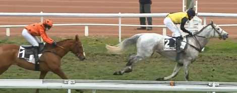 FRANCIA. Josef Aichner e Pepi Vana al via con sei elementi nel primo atto del meeting invernale a Cagnes Sur Mer. Il trainer della formazione giallo nera, ai nostri microfoni speranzoso che sia un warm up propedeutico per il proseguimento della stagione in Costa Azzurra in attesa dei grandi eventi