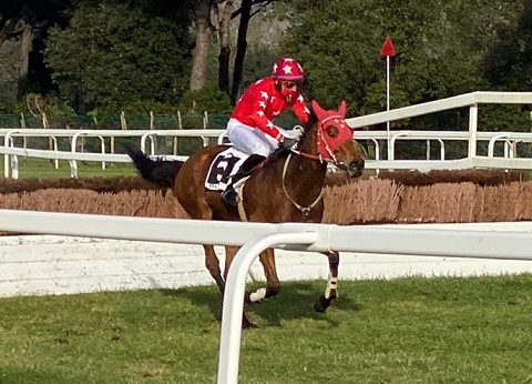 ITALIA. Pisa, Lady Minx e Raffaele Romano splendido contropiede fra i 4 anni; doppio Faltejsek, Tuma, Charvat, grazie a Night Moon sul filo di lana contro First Daum, e Dominique devastante fra gli anziani