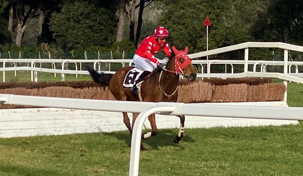 ITALIA. Pisa, Lady Minx e Raffaele Romano splendido contropiede fra i 4 anni; doppio Faltejsek, Tuma, Charvat, grazie a Night Moon sul filo di lana contro First Daum, e Dominique devastante fra gli anziani