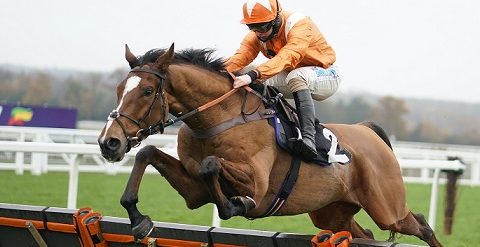 INGHILTERRA. Sandown Park, Metier continua da imbattuto anche nella Tolworth Novices Hurdle di Gr1, l’allievo di Harry Fry schianta la coraggiosa resistenza di Shakem UpArry