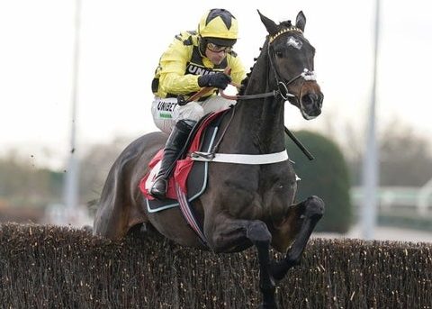 REGNO UNITO. Shishkin rientro vincente nella Desert Orchid a Kempton Park, adesso è il favorito per la prossima Champion Chase; Edwardstone passeggia nella Wayward Lad. A Leopardstown, vince Envoi Allen senza entusiasmare, Mighty Potter vince la Future Champion Novice Hurdle di Gr1
