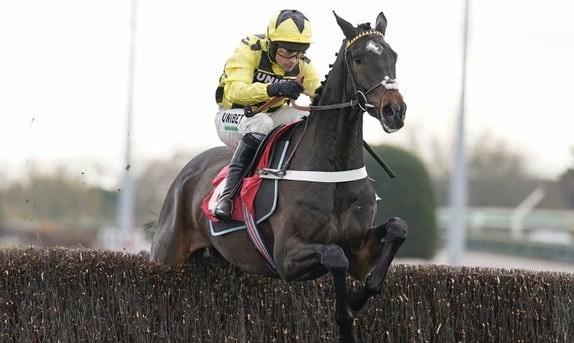 INGHILTERRA. Doncaster sabato con tre Grade 2. Shishkin senza avversari nella Marketing Lightning Novices’ Chase, obiettivo adesso Cheltenham direzione Arkle per l’allievo di Nicky Henderson. Miranda ok fra le femmine, The Cob colpaccio nella Albert Bartlett River Don Novices’ Hurdle