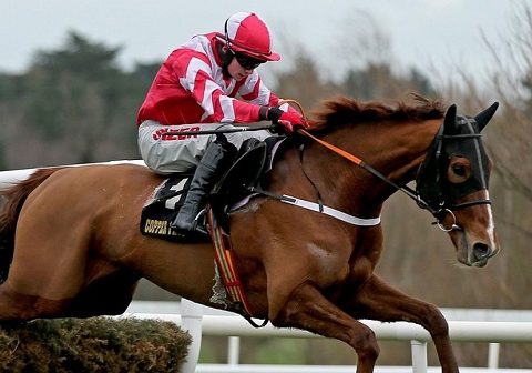 IRLANDA. Fairyhouse, Acapella Bourgeois ancora protagonista nella BobbyJo Chase, battuto il compagno Burrows Saint. Jason The Militant splendido nel trials del Red Mills, Teahupoo si conferma in apertura