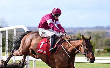 IRLANDA. Giggistown en plein. Nella Boyne Hurdle a Navan, vince Beacon Edge per il training di Noel Meade e i colori di Giggistown, secondo il compagno Fury Road, Tiger Roll autore di rientro prudente su terreno contrario