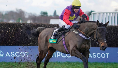 INGHILTERRA. Dashel Drashel e Matt Griffiths vincono la Ascot Chase. L’allievo di Jeremy Scott batte Master Tommytucker, pulled up il favorito Cyrname