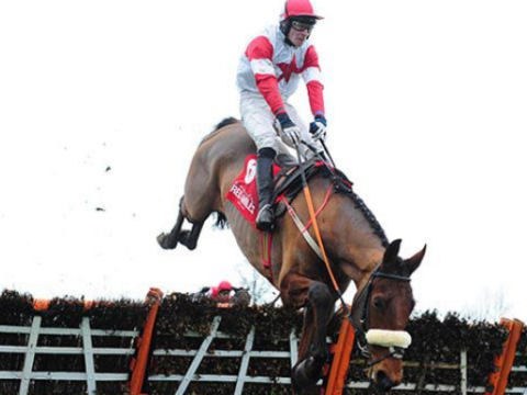 IRLANDA. Punchestown, domenica il Grand National Trial Handicap Chase (Grade B), maratona sui 5600 metri, The Big Dog, Discordantly, Midnight Maestro e la femmina Mohyenna guidano un incerto betting