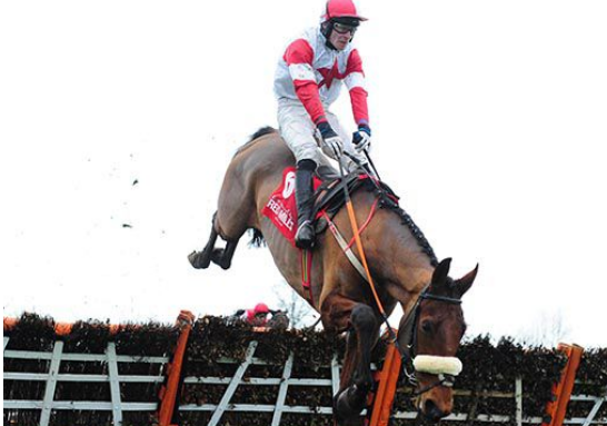 IRLANDA. Punchestown, domenica il Grand National Trial Handicap Chase (Grade B), maratona sui 5600 metri, The Big Dog, Discordantly, Midnight Maestro e la femmina Mohyenna guidano un incerto betting