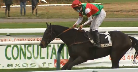 FRANCIA. Super domenica a Pont Long dove si corrono Grand Cross de Pau Reverdy (Prix Gaston de Bataille) e 134e Grande Course de Haies de Pau (Prix Max de Ginestet), in pista la stellina Uniketat nel cross e il Cottin Ajas, quest’ultimo in cerca dello storico doppio GPrix – Gran Siepi