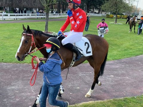 ITALIA. Milano, Callistemon cerca il bis fra i tre anni nel Dei Novizi contro Ocean Life e Jean Blue. Nello Spegasso rientra lo stimato Gatsby con l’obiettivo Staffe D’Oro; in apertura bella maiden sulle siepi con Urban Hero in pole contro Ventura Bounty e Caballero Chopper. Nella periziata c’è Morning Star