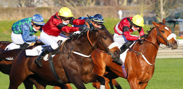 FRANCIA. Auteuil, en plein Lageneste Macaire nel Prix Robert de Clermont Tonnerre grazie a Feu Follet (Nathalie Desoutter) e Galleo Conti, terzo Poly Grandchamp. Davide Satalia secondo con Nurmi in handicap, sfortunato Maceli a corsa quasi vinta con Roi Rebel