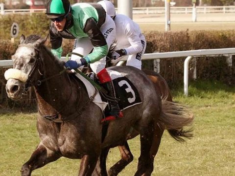 ITALIA. Treviso, General Marius perfetto nella periziata, battuti Full Bore e Salem Aleikum. Romano vince in apertura con Leonardo da Vinci nel Cross, doppia da allenatore grazie a Bandit Corse e Gaby Agus fra i quattro anni