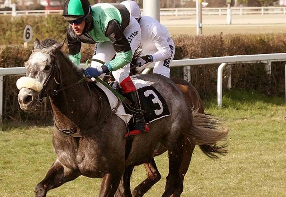 ITALIA. Treviso, General Marius perfetto nella periziata, battuti Full Bore e Salem Aleikum. Romano vince in apertura con Leonardo da Vinci nel Cross, doppia da allenatore grazie a Bandit Corse e Gaby Agus fra i quattro anni