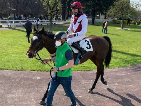 ITALIA. Milano, Ivo perfetto nel Giulio Caccia, a sorpresa l’allievo di Pavlina Bastova respinge Live Your Life. Callistemon e Kaiser Soze debutto da urlo nel Primi Salti e Brivio; Il Superstite facile nel cross country