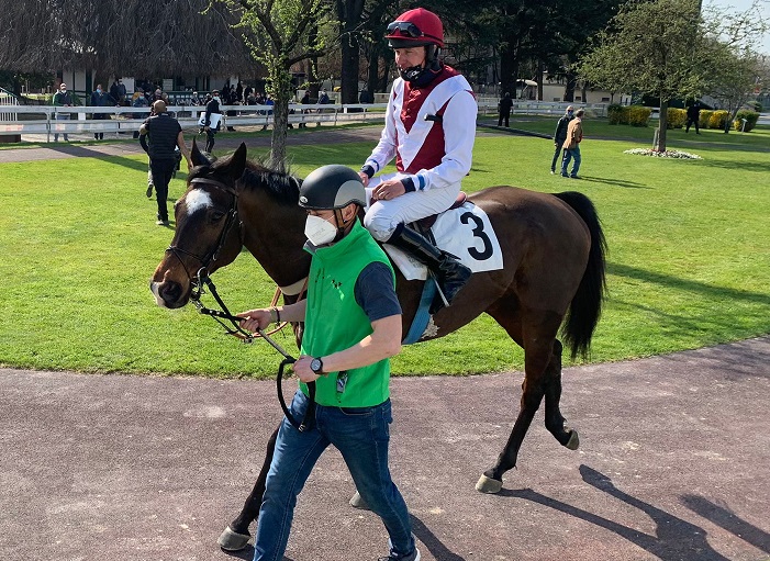 ITALIA. Milano, Ivo perfetto nel Giulio Caccia, a sorpresa l’allievo di Pavlina Bastova respinge Live Your Life. Callistemon e Kaiser Soze debutto da urlo nel Primi Salti e Brivio; Il Superstite facile nel cross country