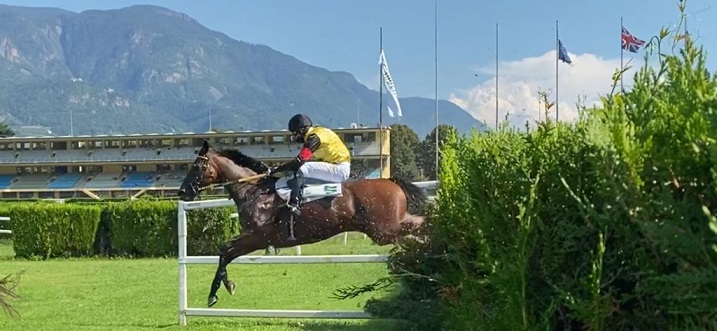 ITALIA. Al Sant’Artemio va in scena il XII Steeple Chase di Treviso, corsa listed dove c’è da battere Laldann in un campo gara di sei unità, vedi il polacco Avestan e il ceco Saint Joseph; Favero punta su Aventus e Let It Go Papa, Romano spera in Watch Tomorrow