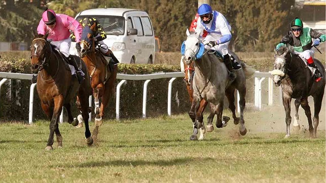 ITALIA. Treviso ultimo atto. In apertura c’è il cross country dove si rivedono Tamas e Burrows Lane, mentre Romano lancia nella mischia il caratteriale Leonardo Da Vinci. Paolo Favero atteso fra i 4 anni, incerta la provaper gli anziani dove potrebbe emergere Salem Aleikum