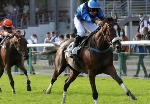 FRANCIA. Week end di qualità, sabato il Grand Cross a Fontainebleau con il veterano Bomari, domenica ad Auteuil c’è il Prix Fleuret per i chaser di 4 anni, dove cerca conferma Losange Vert laureato del Duc D’Anjou