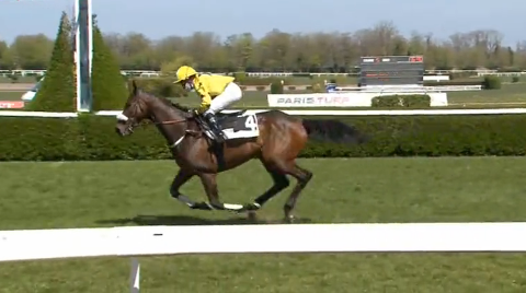 FRANCIA. Calotin e Nathalie Desoutter dominano il Grand Steeple Chase de Nancy, l’allievo di Macaire & Lageneste ha preceduto il runner up Nabuco Has, buon secondo avanti a Crack Math, pulled up Garde La Victoire