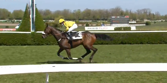 FRANCIA. Calotin e Nathalie Desoutter dominano il Grand Steeple Chase de Nancy, l’allievo di Macaire & Lageneste ha preceduto il runner up Nabuco Has, buon secondo avanti a Crack Math, pulled up Garde La Victoire