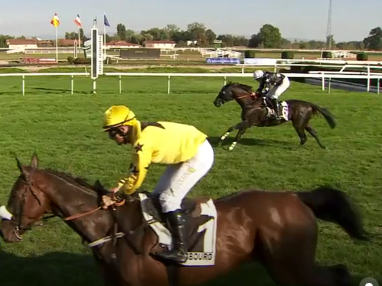 FRANCIA. Sabato una bella edizione del Grand Steeple Chase de Nancy. Calotin, imbattuto nel 2021, vs Nabuco Has che chiede la rivincita, in pista anche il veterano Garde La Victoire per Tom George