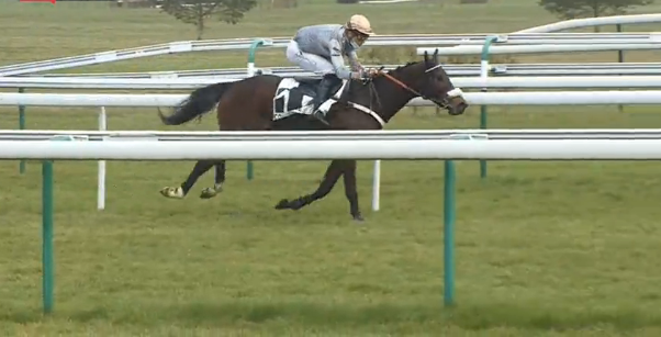 FRANCIA. Prix Hopper per sette giovedì a Compiègne, test di Gr3 che porta al Ferdinand Dufare di Auteuil. In pista l’affascinante Gold Tweet per Gabriel Leenders