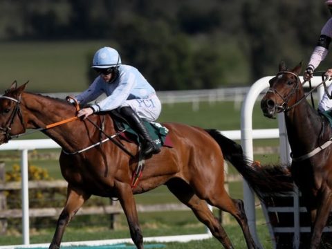 IRLANDA. Honeysuckle vince anche la Champion Hurdle a Punchestown. Pur con un brivido finale, l’allieva di Henry De Bromhead centra la dodicesima vittoria restando imbattuta in carriera. Gaillard du Mesnil ok nella Champion Novice Hurdle, Paul Townend festeggia il suo quarto titolo da jockey