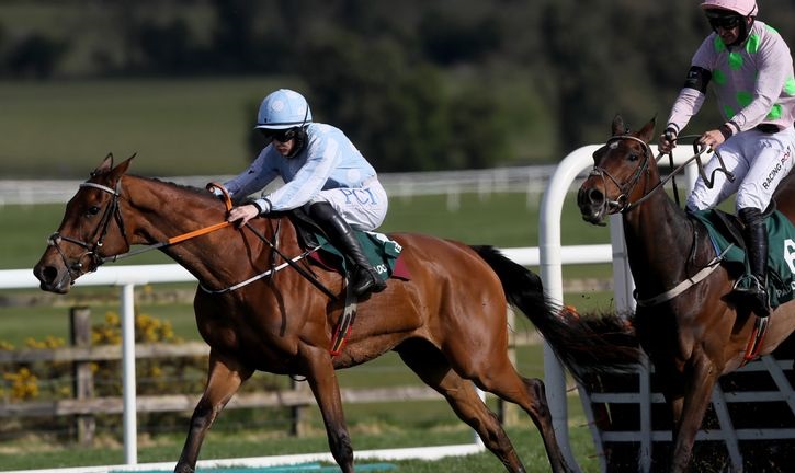 IRLANDA. Honeysuckle vince anche la Champion Hurdle a Punchestown. Pur con un brivido finale, l’allieva di Henry De Bromhead centra la dodicesima vittoria restando imbattuta in carriera. Gaillard du Mesnil ok nella Champion Novice Hurdle, Paul Townend festeggia il suo quarto titolo da jockey