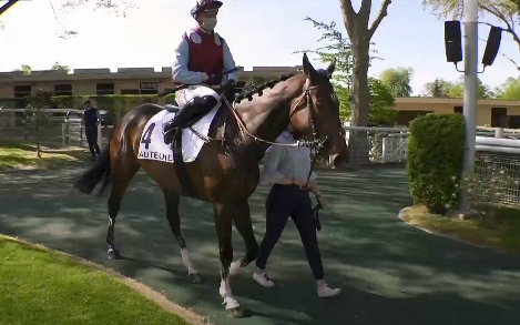 FRANCIA. Auteuil, L’Autonomie vince per il secondo anno consecutivo il Léon Rambaud e stacca il pass per la Grand Course de Haies; ottima seconda Paul’s Saga. Le Listrac ok nel Jean Stern, solo decimo Sternkranz nell’impegnativo Président de la République