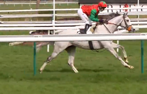FRANCIA. Compiègne, Le Berry rientro ad hoc sulle siepi del Prix Mont Cenis, il grigio della Gemini Stud allenato da David Cottin, andrà al Grand Steeple Chase de Paris