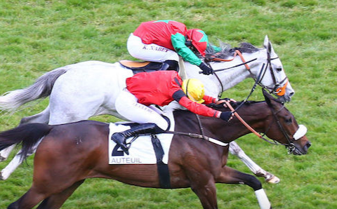 FRANCIA. Auteuil, nel Prix Ingré fa tutto Le Berry. Il campionissimo di David Cottin, prima commette un clamoroso errore alla double barriere, poi rimedia con una rincorsa da fenomeno su Feu Follet, adesso il Grand Steeple de Paris. Hermés Baie domina l’Amadou