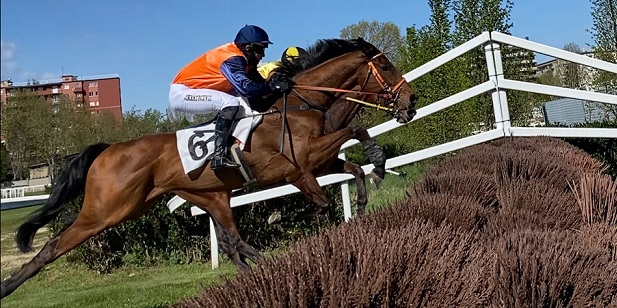 ITALIA. Trials Milano, Jan Kratochvil show. Il jockey ceco vince il Piero Pirelli con il quattro anni Ever Soleado allenato dal polacco Robert Swiatek, raddoppia a quota shock con Linovsky nel Celeste Citterio. Fly Filo Fly ok sullo steeple, Precision Prince sulle siepi